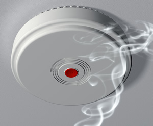 Fire Alarm Systems